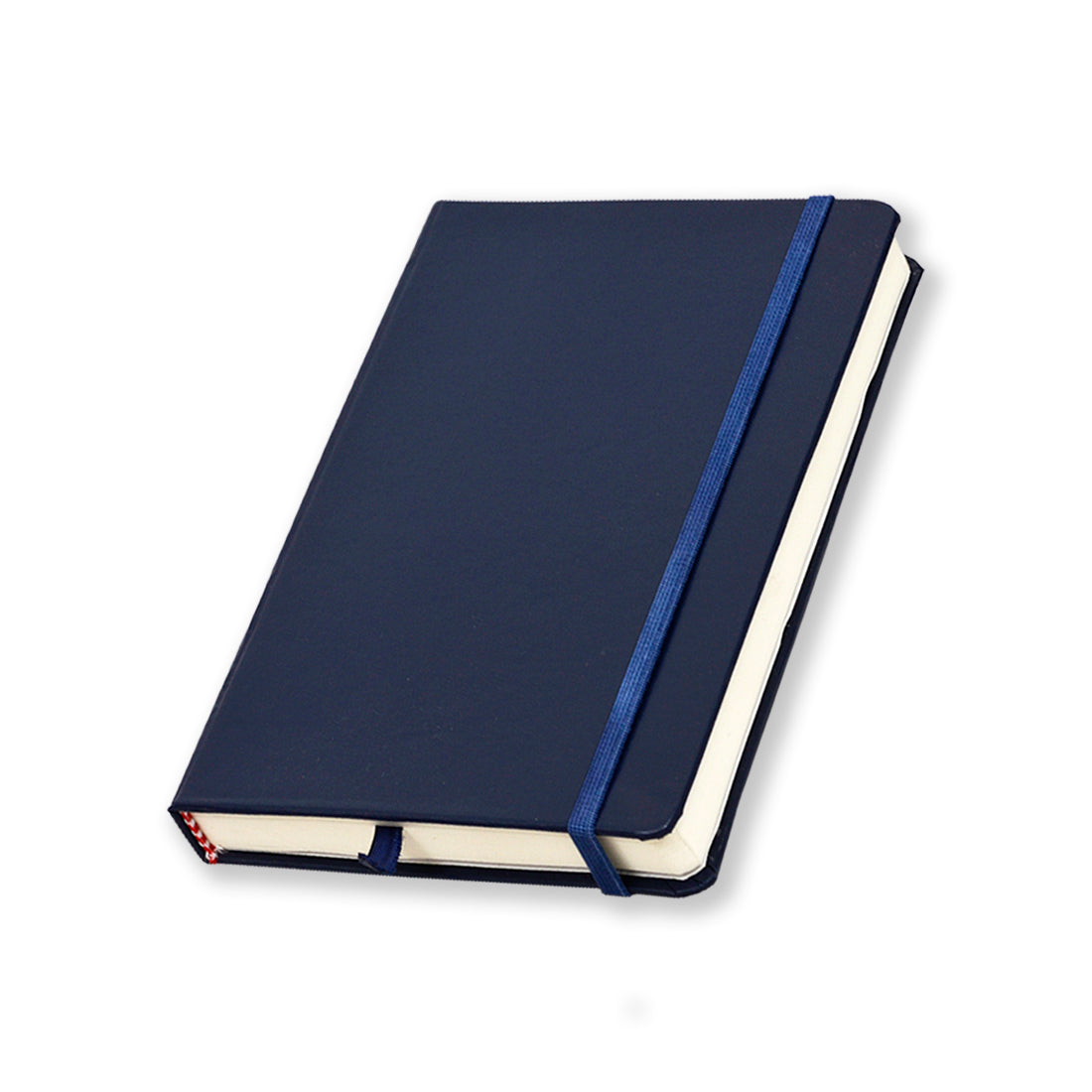 Daily Planner and Journal, Un-Ruled, Hard Cover, 5.8" x 8.25", Blue