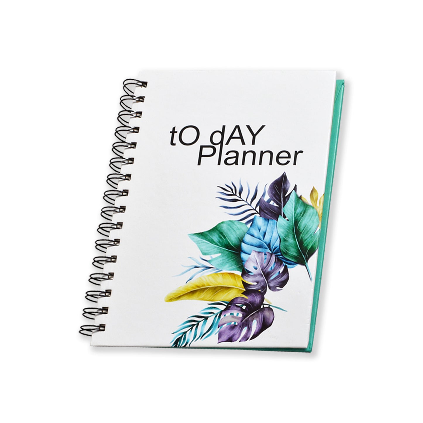 Daily Routine Planner Diary