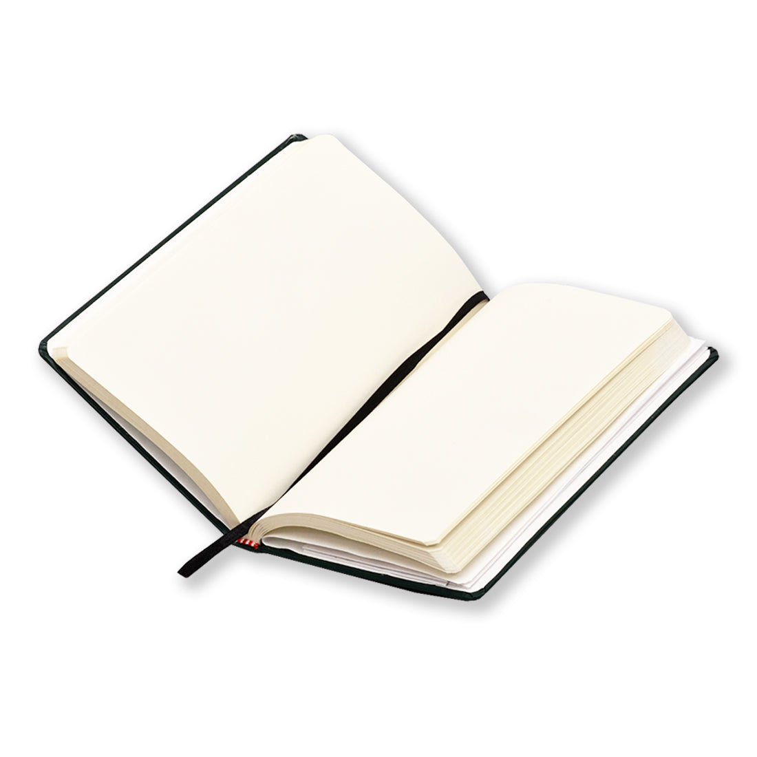 Unruled Diary