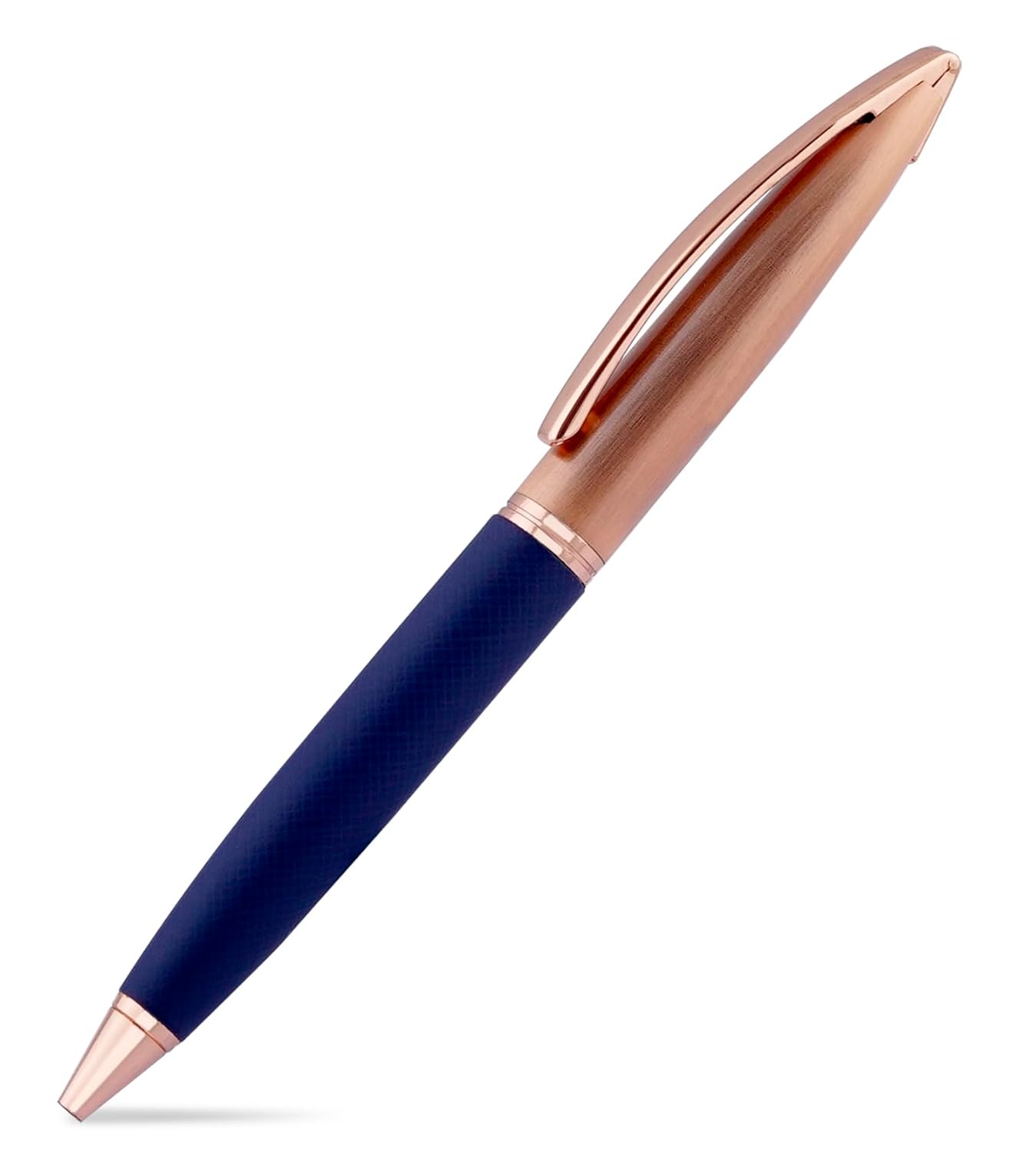 Ballpoint Pen with Case for Office and Gifting (Blue Ink)