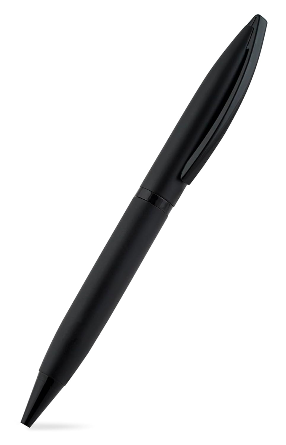 Ballpoint Pen with Case