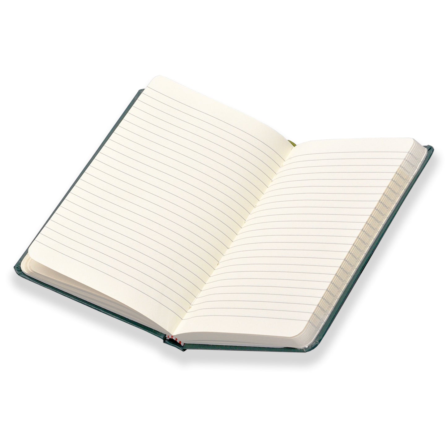 Lined Journal Notebook, (Green), Medium 5.7 inches x 8 inches - Thick Paper, Hardcover