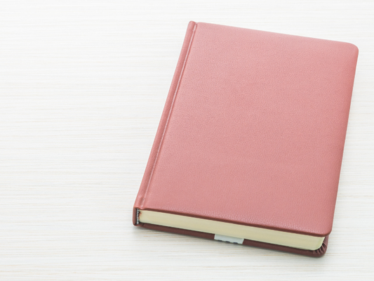5 Mistakes People Make When Buying a 2027 Diary Online — And How to Avoid Them