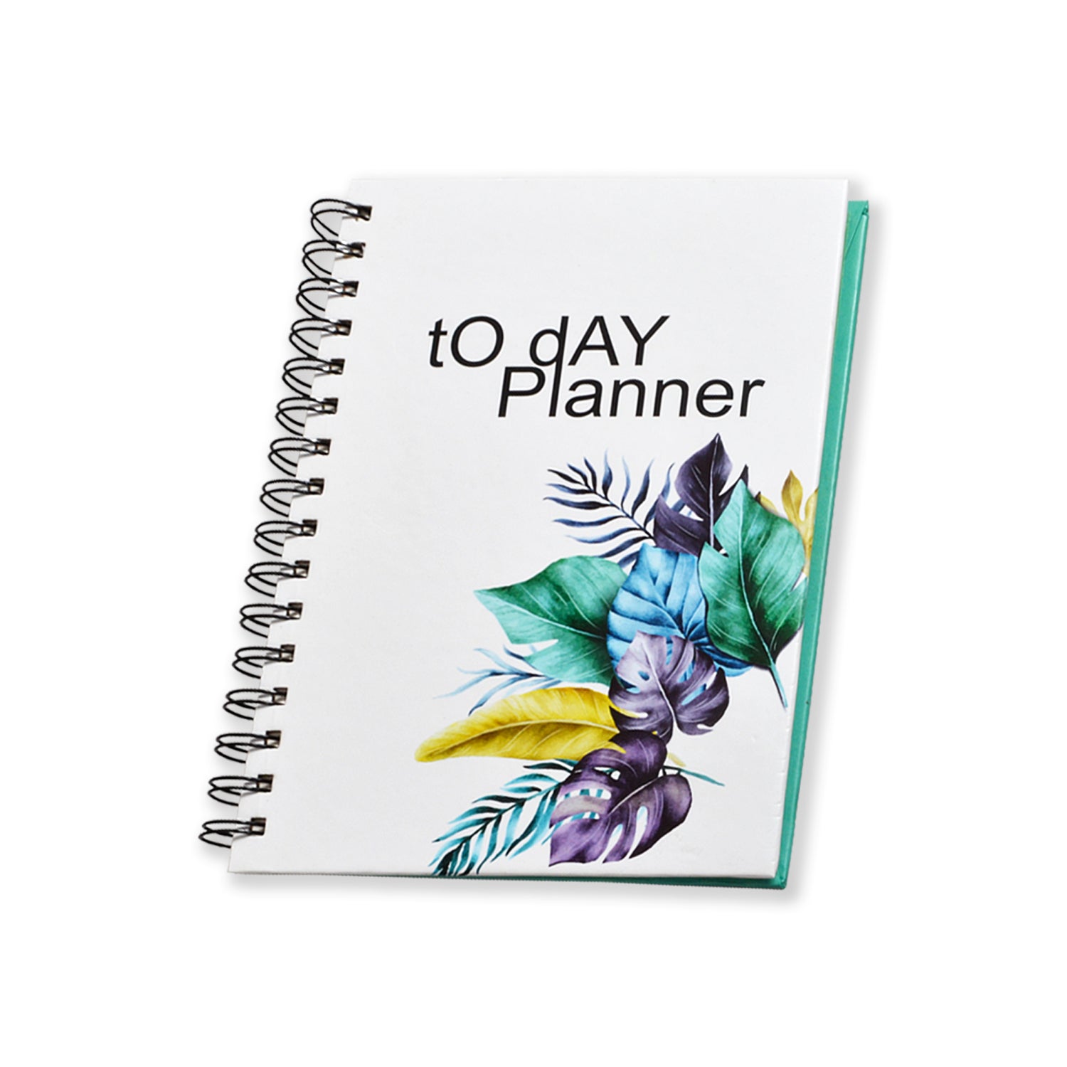 Daily Routine Planner Diary