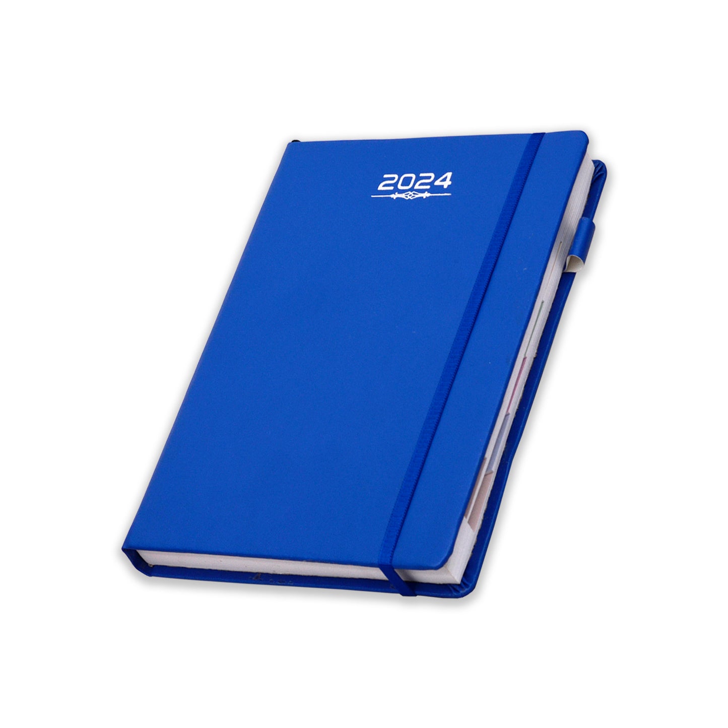 Blue 2024 All in one Daily Diary | Monthly Monitor | Yearly Organizer Diary.