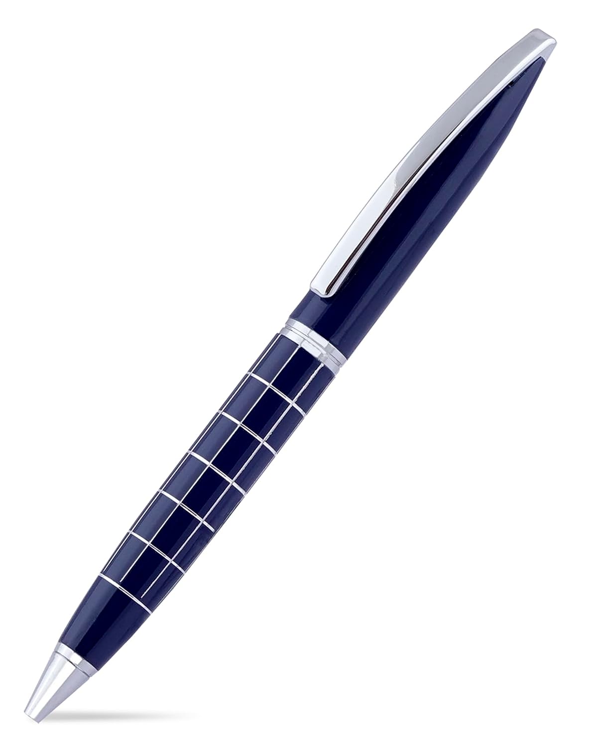 Ballpoint Pen with Case